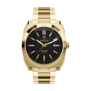 Berlo Uprise