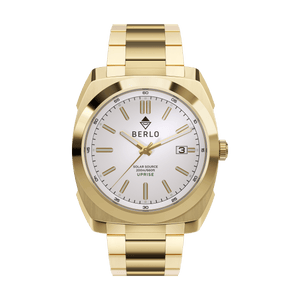 Berlo Uprise