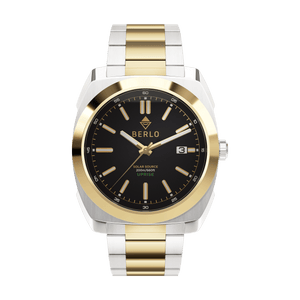 Berlo Uprise