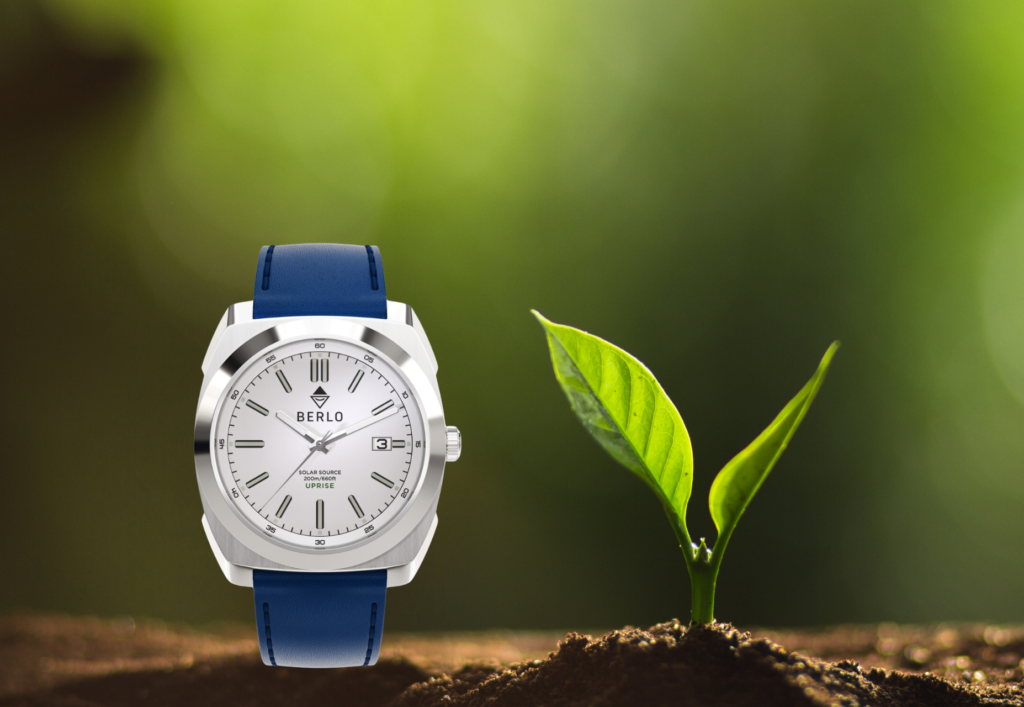 Berlo tree plant